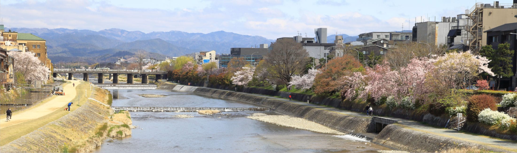 アクセス背景